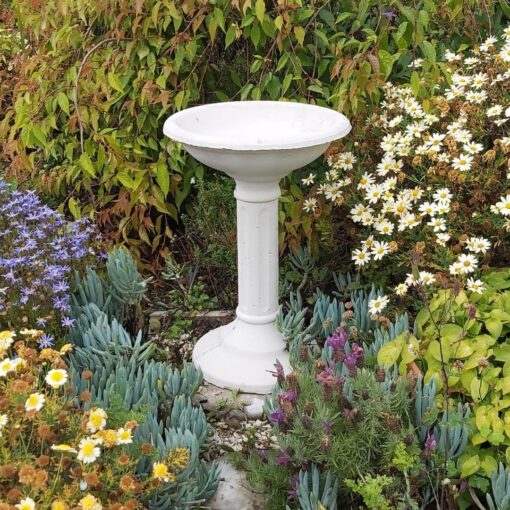 concrete bird bath made in nz