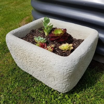 precast concrete dunedin nz succulent planter herb garden