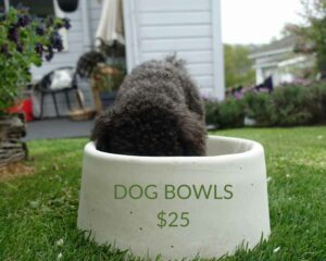 concrete dog bowls by precast concrete dunedin nz
