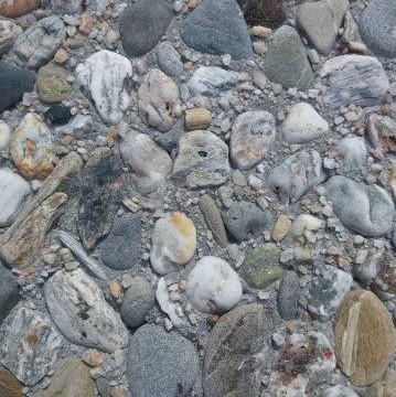 Large Clutha Exposed Pebble Paver