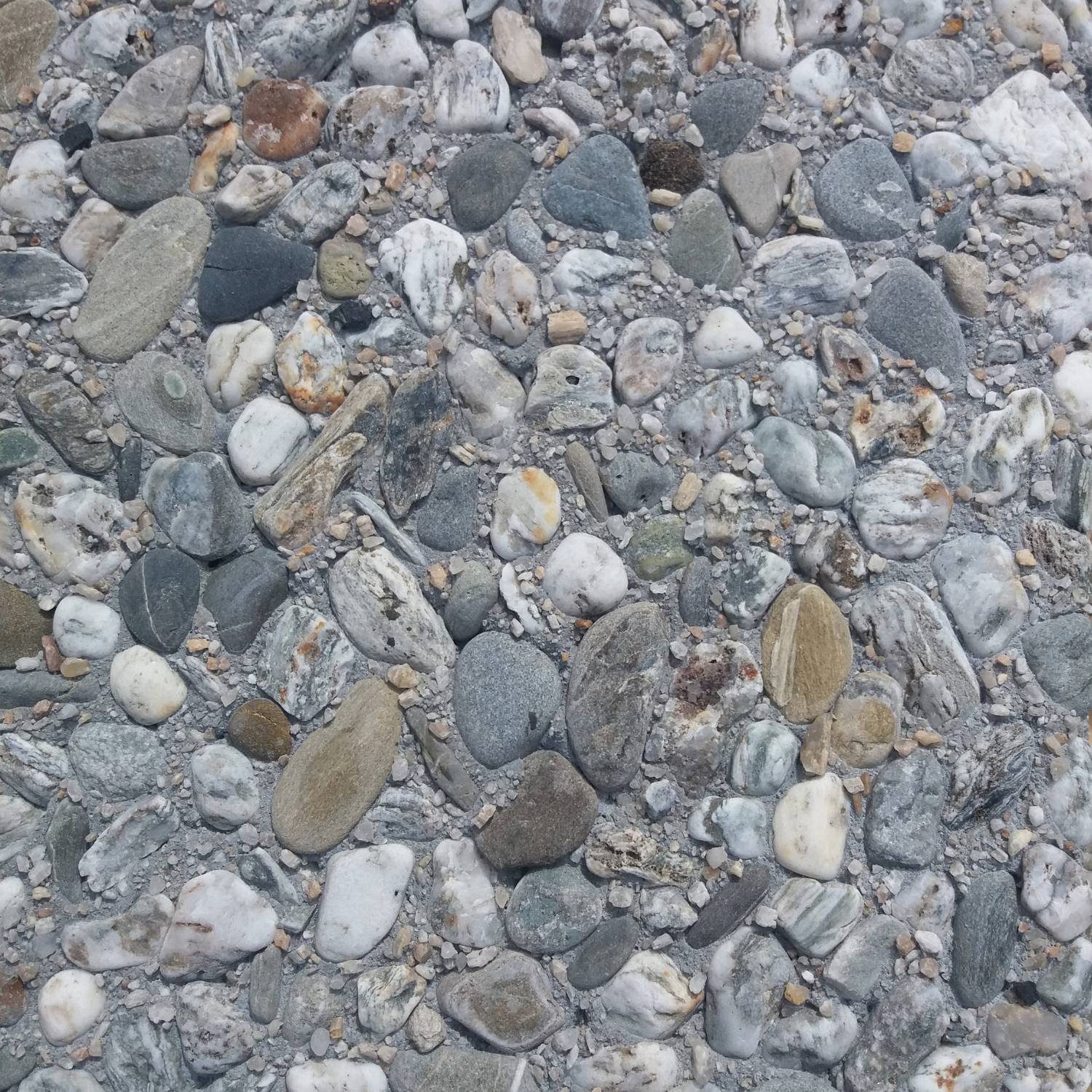 Large Clutha Exposed Pebble Paver