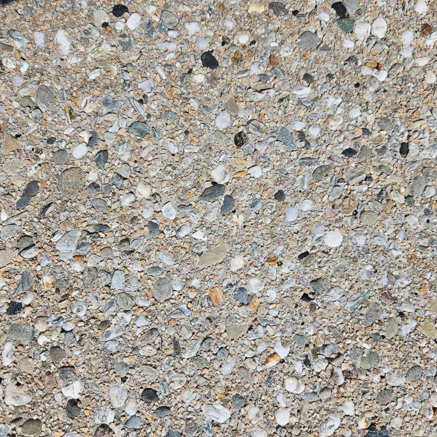Medium Clutha Exposed Pebble Paver