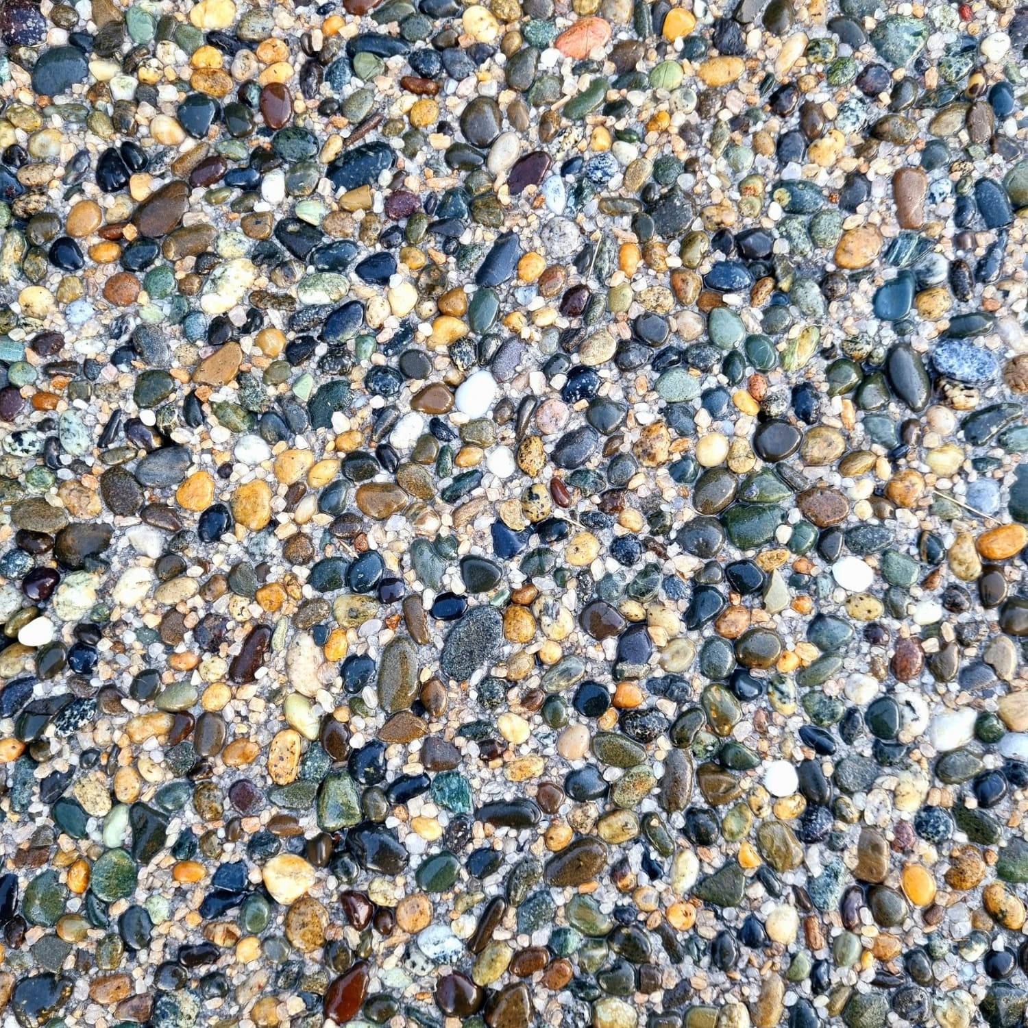 Otatara Exposed Pebble Paver